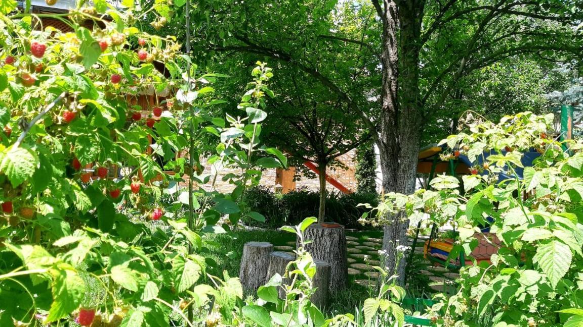 Maghay B&B Hotel In Vanadzor Exterior photo